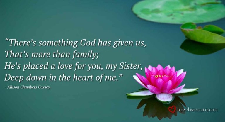 Comfort in Missing My Sister in Heaven Quotes